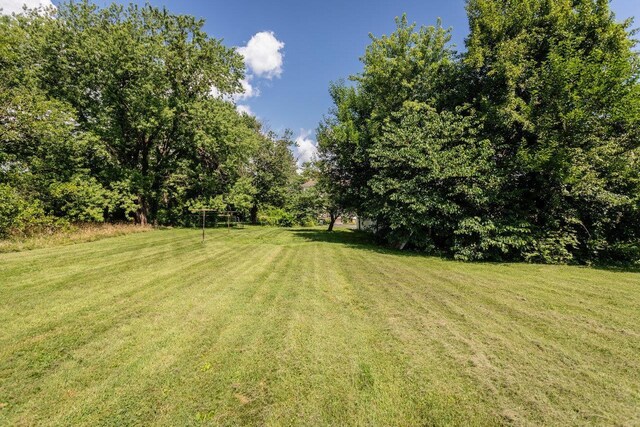 1221 Keezletown Rd, Weyers Cave, VA 24486 - view of green lawn