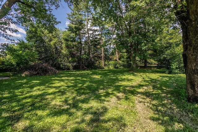 1221 Keezletown Rd, Weyers Cave, VA 24486 - view of green lawn