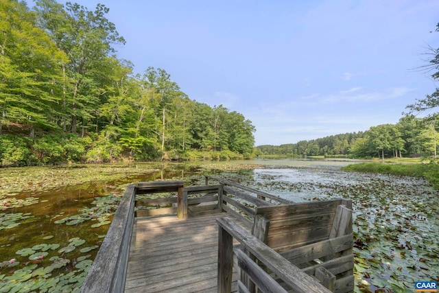 797 Willow Ridge Rd, Troy, VA 22974 - dock area with a wooded view and a water view