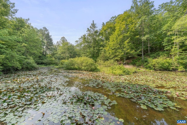 797 Willow Ridge Rd, Troy, VA 22974 - view of wooded area