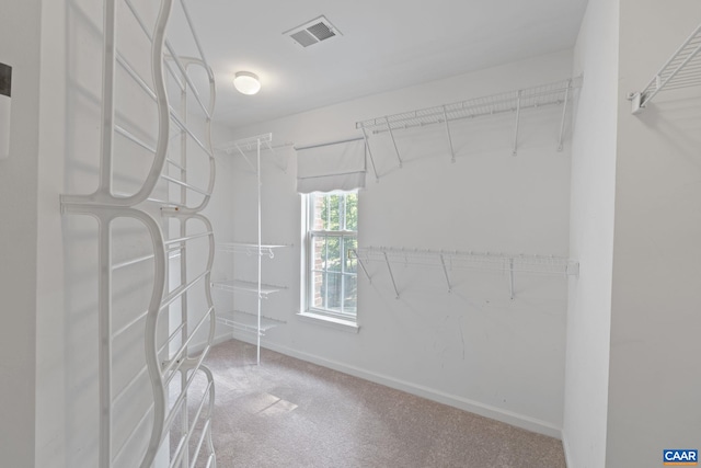 797 Willow Ridge Rd, Troy, VA 22974 - spacious closet with carpet