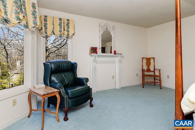 sitting room with carpet and baseboards