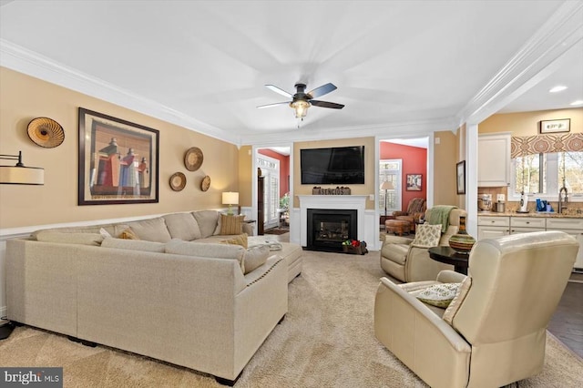 11135 Vanderbilt Cv, Spotsylvania, VA 22551 - living room with ceiling fan, ornamental molding, a glass covered fireplace, and light colored carpet