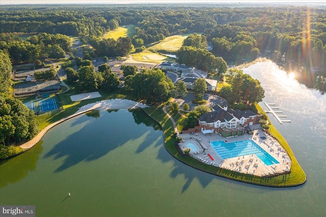 11135 Vanderbilt Cv, Spotsylvania, VA 22551 - view of property location featuring a pool area, a forest, and a large body of water