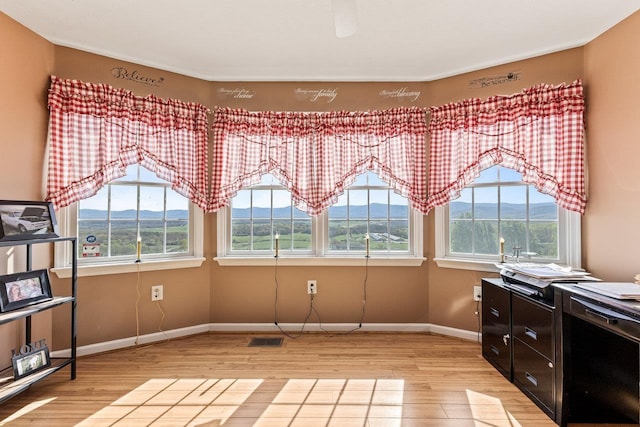 796 Battlecreek Rd, Stanley, VA 22851 - interior space with a wealth of natural light, light wood-type flooring, and visible vents