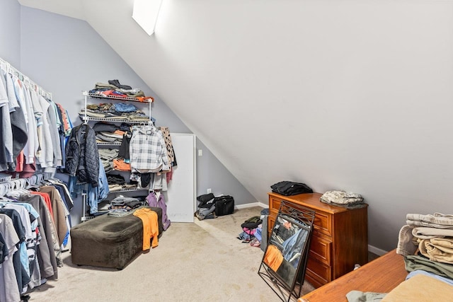 796 Battlecreek Rd, Stanley, VA 22851 - walk in closet featuring lofted ceiling and carpet