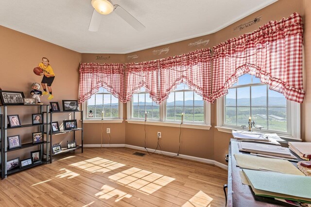796 Battlecreek Rd, Stanley, VA 22851 - office space featuring light wood finished floors, baseboards, and ceiling fan