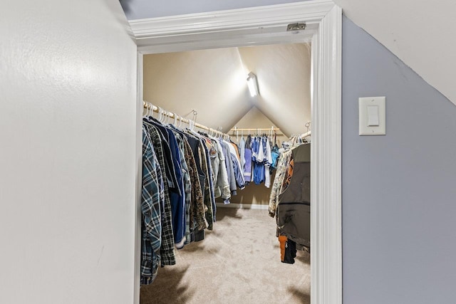796 Battlecreek Rd, Stanley, VA 22851 - walk in closet featuring lofted ceiling and carpet flooring