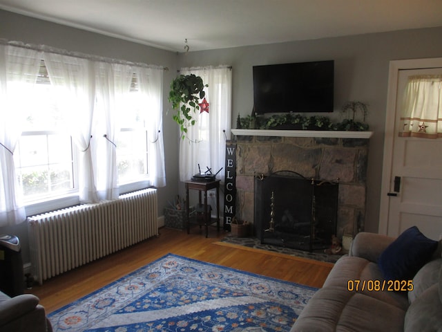 835 Rosser Ave, Waynesboro, VA 22980 - living room with radiator, healthy amount of natural light, a fireplace, and wood finished floors