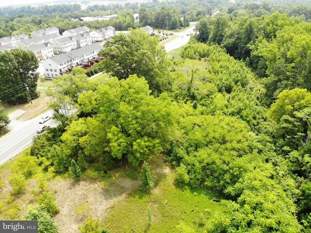 10332 Tidewater Trl, Fredericksburg, VA 22408 - photo 19