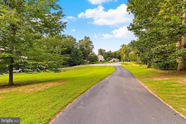 7802 Lyndhurst Ct, Spotsylvania, VA 22553 - photo 68