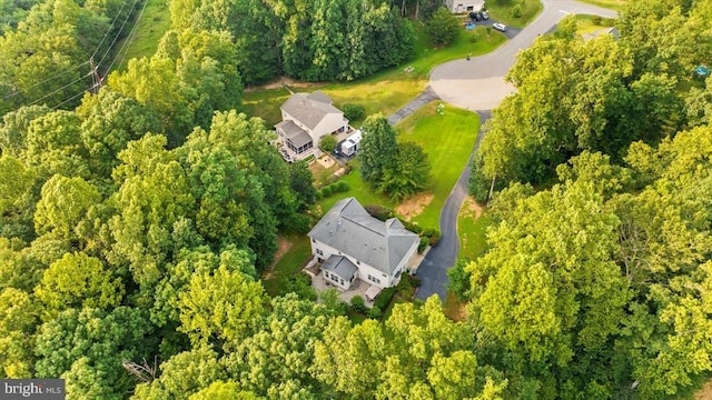 7802 Lyndhurst Ct, Spotsylvania, VA 22553 - photo 63
