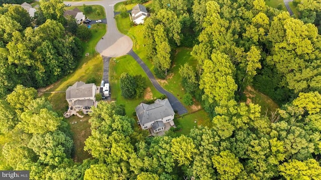 7802 Lyndhurst Ct, Spotsylvania, VA 22553 - photo 64