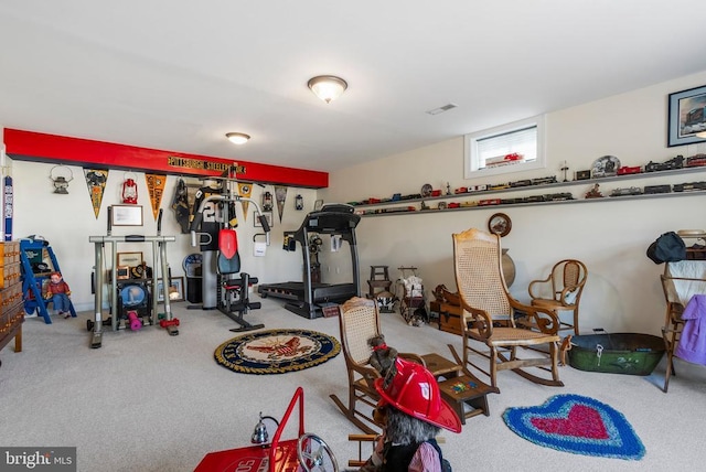 15103 Jenkins Hill Ln, Culpeper, VA 22701 - exercise area featuring carpet