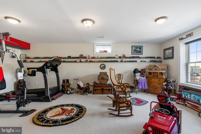 15103 Jenkins Hill Ln, Culpeper, VA 22701 - exercise room with carpet flooring