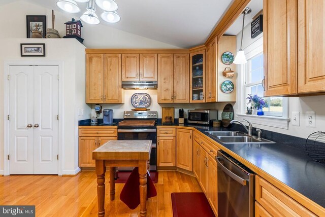 15103 Jenkins Hill Ln, Culpeper, VA 22701 - kitchen with appliances with stainless steel finishes, under cabinet range hood, a sink, dark countertops, and lofted ceiling
