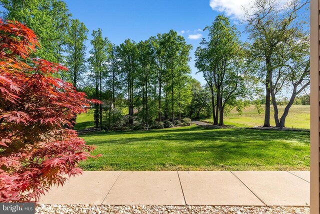 15103 Jenkins Hill Ln, Culpeper, VA 22701 - view of grassy yard