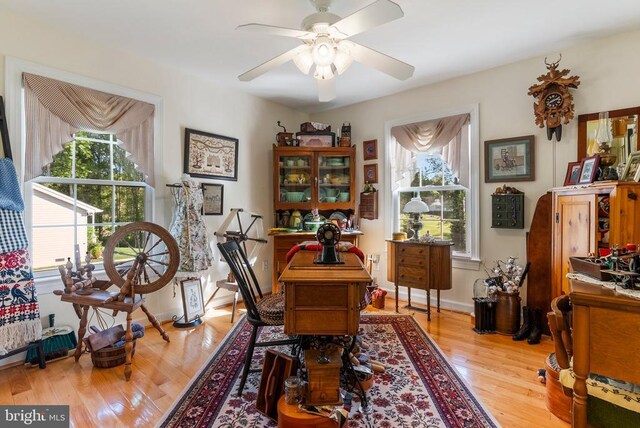 15103 Jenkins Hill Ln, Culpeper, VA 22701 - office space featuring ceiling fan and wood finished floors