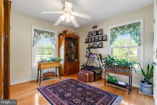 15103 Jenkins Hill Ln, Culpeper, VA 22701 - sitting room featuring healthy amount of natural light, wood finished floors, and a ceiling fan