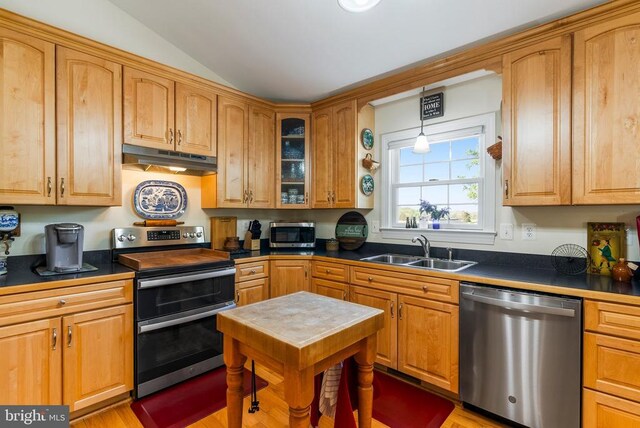 15103 Jenkins Hill Ln, Culpeper, VA 22701 - kitchen featuring appliances with stainless steel finishes, a sink, dark countertops, under cabinet range hood, and vaulted ceiling