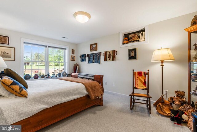 15103 Jenkins Hill Ln, Culpeper, VA 22701 - carpeted bedroom with baseboards