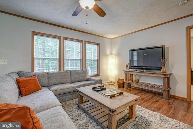 391 Linda Ln, Mineral, VA 23117 - photo 15