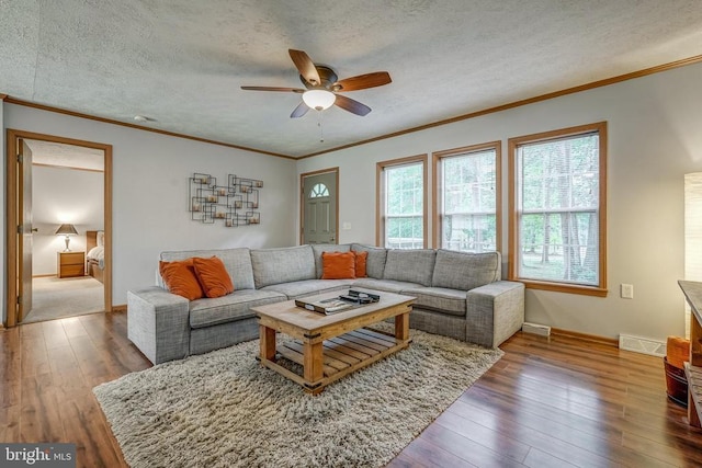 391 Linda Ln, Mineral, VA 23117 - photo 13