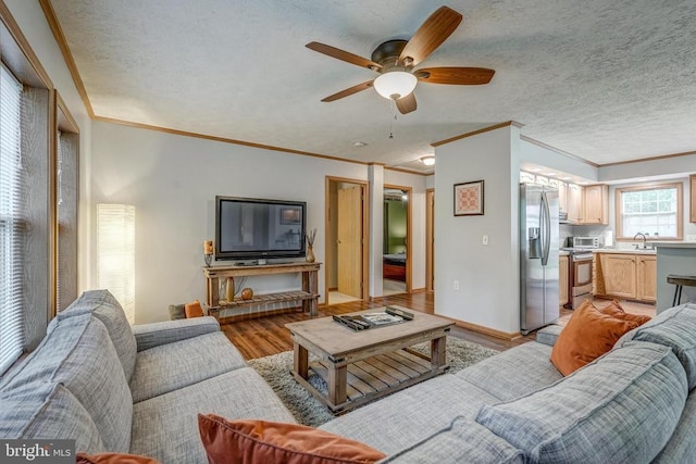 391 Linda Ln, Mineral, VA 23117 - photo 14