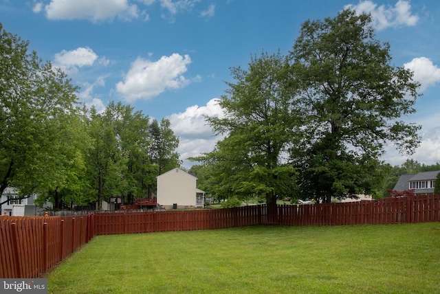 11810 Falcon Ridge Dr, Fredericksburg, VA 22407 - view of yard