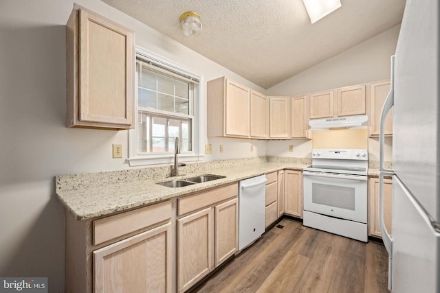 11810 Falcon Ridge Dr, Fredericksburg, VA 22407 - kitchen with white appliances, light brown cabinetry, a sink, under cabinet range hood, and dark wood-style floors