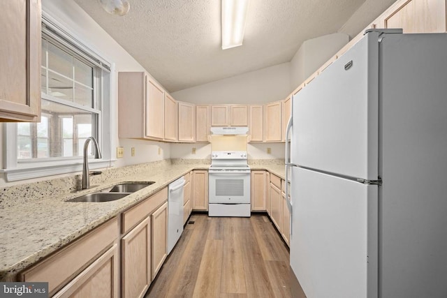 11810 Falcon Ridge Dr, Fredericksburg, VA 22407 - kitchen featuring white appliances, a sink, under cabinet range hood, light brown cabinets, and wood finished floors