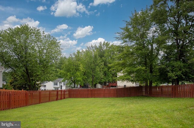 11810 Falcon Ridge Dr, Fredericksburg, VA 22407 - view of yard