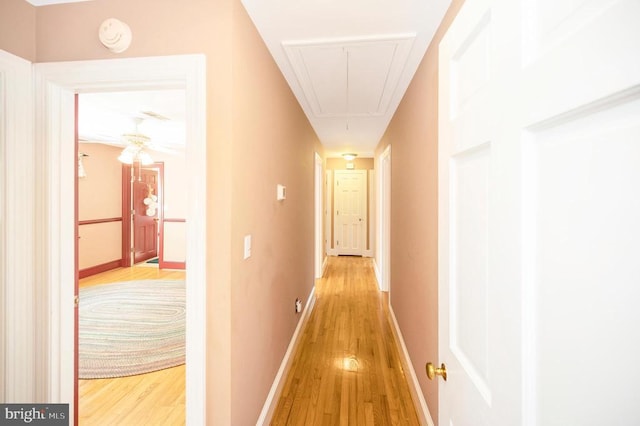 503 Macoy Ave, Culpeper, VA 22701 - photo 23
