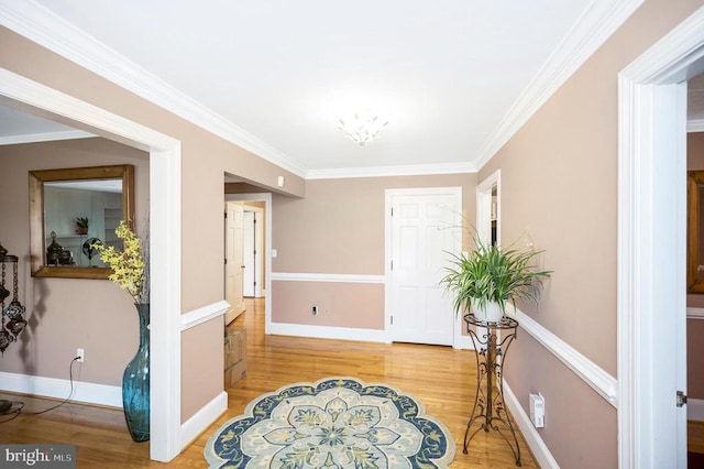 503 Macoy Ave, Culpeper, VA 22701 - photo 3