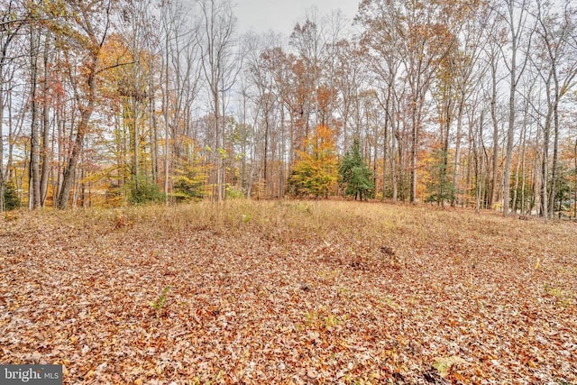 14019 Meades Ct, Fredericksburg, VA 22407