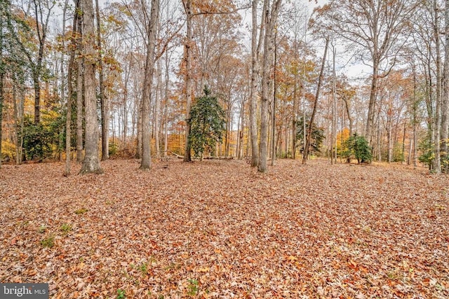 14019 Meades Ct, Fredericksburg, VA 22407