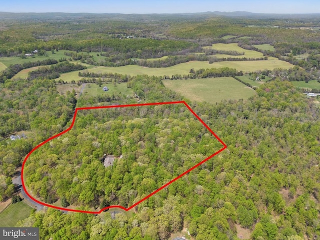  - birds eye view of property with a view of trees