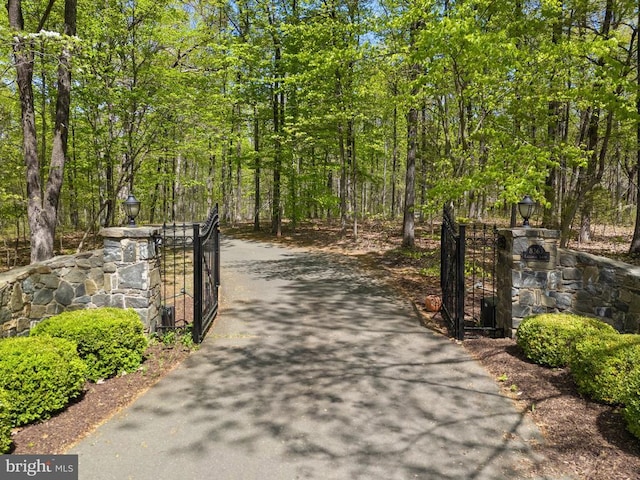  - exterior space with driveway, a gated entry, street lighting, and a gate
