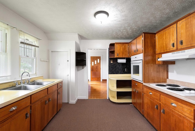 4056 E Point Rd, Elkton, VA 22827 - kitchen featuring white appliances, a sink, under cabinet range hood, open shelves, and brown cabinetry