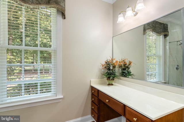 11918 Boulder Ct, Spotsylvania, VA 22553 - bathroom with vanity and a shower
