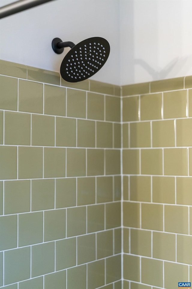 1601 Antoinette Ave, Charlottesville, VA 22903 - detailed view of a tile shower