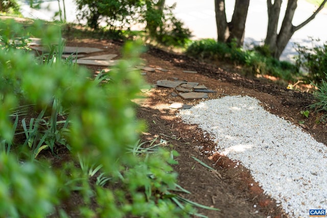 1601 Antoinette Ave, Charlottesville, VA 22903 - view of yard
