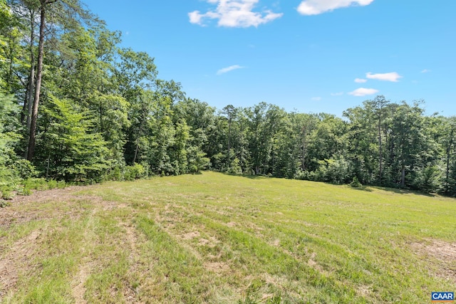 LotA Penny Lane, Charlottesville, VA 22903 - photo 10
