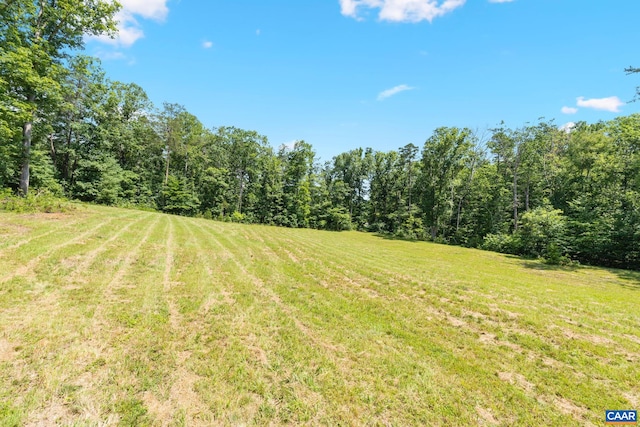 LotA Penny Lane, Charlottesville, VA 22903 - photo 16
