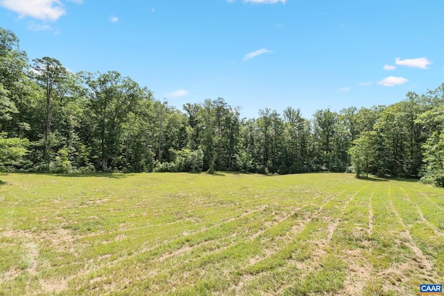 LotA Penny Lane, Charlottesville, VA 22903 - photo 17