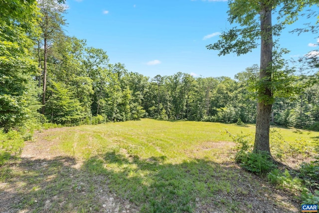 LotA Penny Lane, Charlottesville, VA 22903 - photo 6