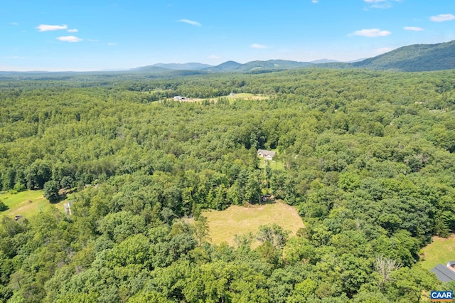 LotA Penny Lane, Charlottesville, VA 22903 - photo 4