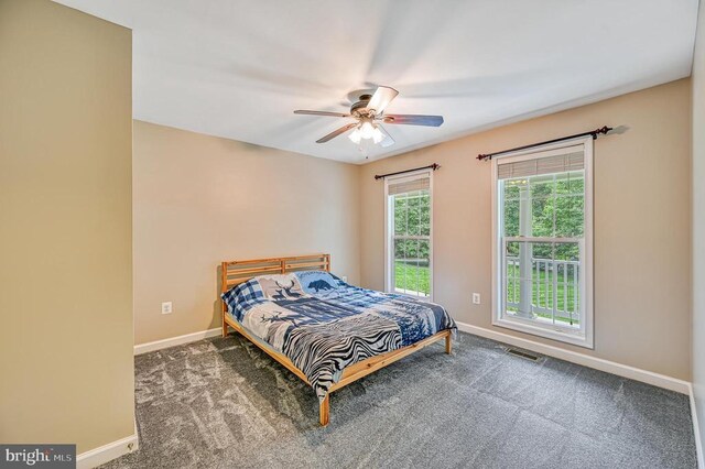 219 Oakwood Dr, Mineral, VA 23117 - photo 52