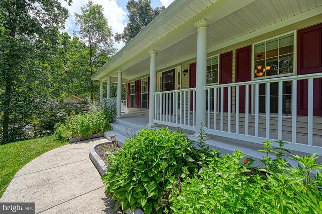 219 Oakwood Dr, Mineral, VA 23117 - photo 63