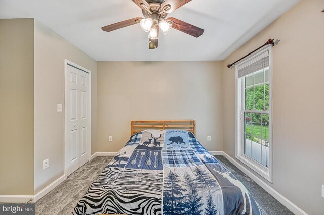 219 Oakwood Dr, Mineral, VA 23117 - photo 53